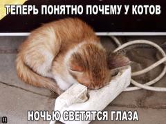 IMG-20161130-WA0008.jpg