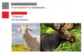 13-00-03-3J3TIMGhyzU.jpg