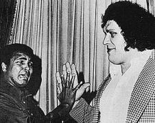 andre-the-giant-and-muhammad-ali-600x479.jpg