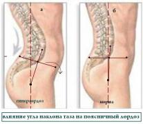 7b90689b0d72.jpg