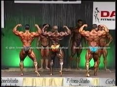 Kevin Levrone, Ronnie Coleman & Nasser El Sonbaty Comparison.mp4_snapshot_01.13_2016.12.23_23.46.07.jpg