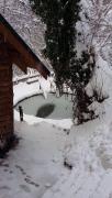 IMG-20161205-WA0001.jpg