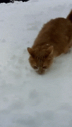 BumazhnySamoletik (1).gif