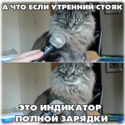 1482195883_foto-prikoly-3.jpg