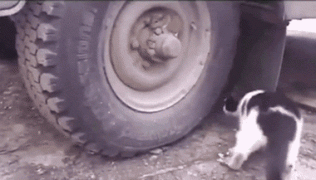 Science_V.gif