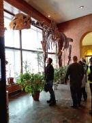 IMG_20161104_152242.jpg