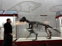 IMG_20161104_153542.jpg