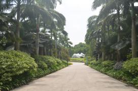 DSC_1079.JPG