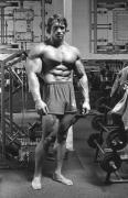 large_k1c_161211_0445_a7e559e1_pumping_iron.jpg