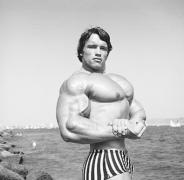 large_k1c_161211_0445_15c5c5d4_pumping_iron.jpg