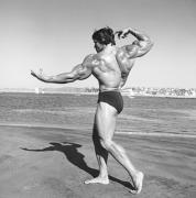 large_k1c_161211_0445_92df7890_pumping_iron.jpg