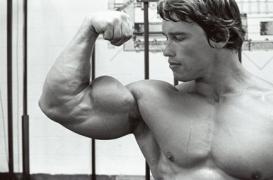 large_k1c_161211_0445_b5188180_pumping_iron.jpg