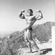 large_k1c_161211_0445_b2dee26e_pumping_iron.jpg