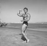 large_k1c_161211_0445_94d3eff5_pumping_iron.jpg