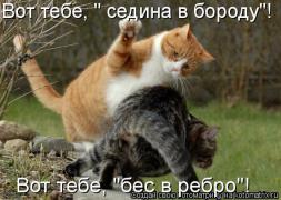 88e0d4be091111b807f6f34dcd19cdab_i-476.jpg