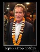 terminator_prabkhu_20130807_1120650223.jpg