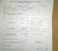 Testo.jpg