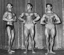 chuck collras (1).jpg