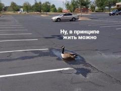 F5E2F4D7-64AC-4094-832B-451C65C62ABA.jpeg