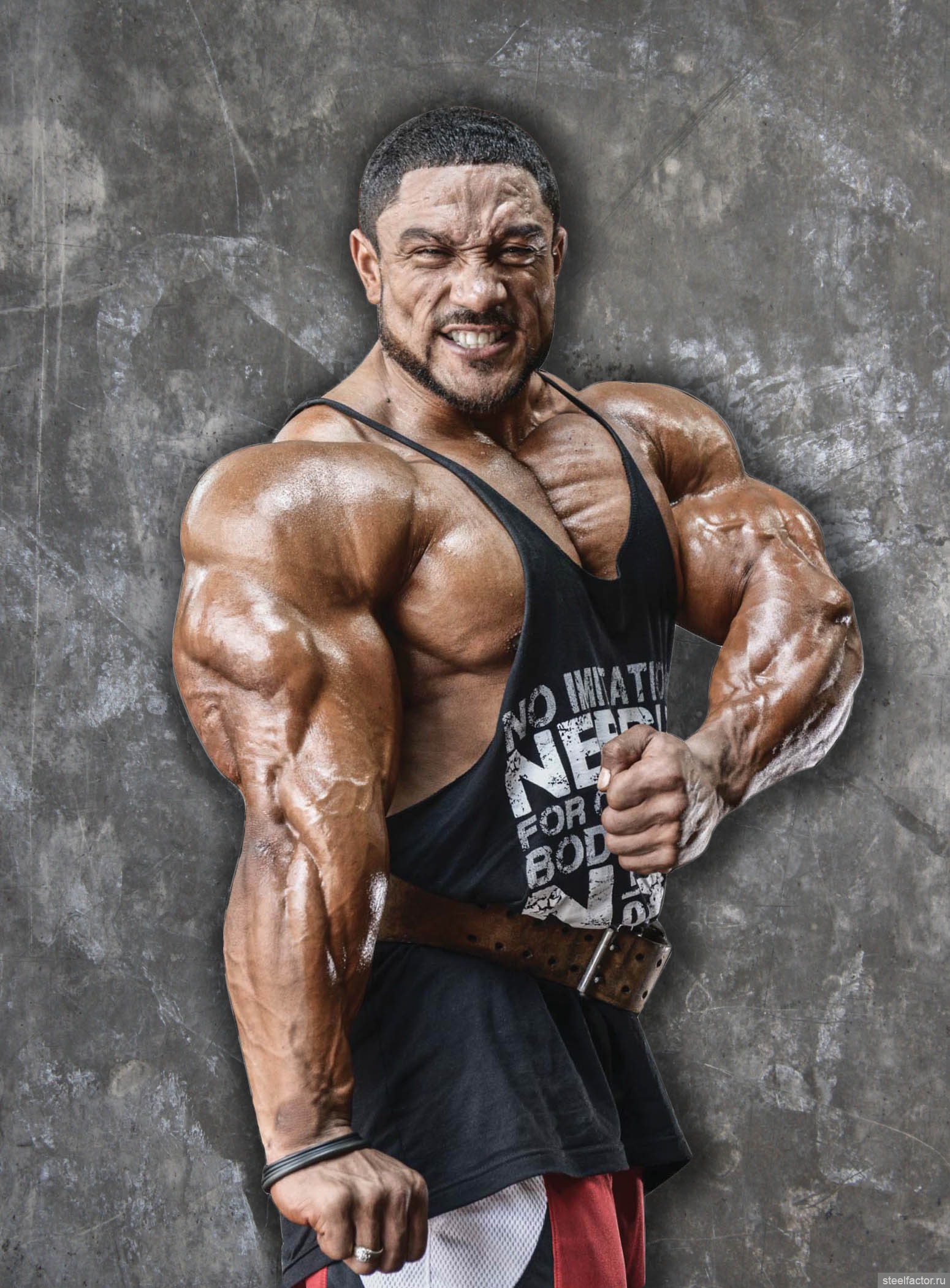 Roelly Winklaar бицепс