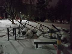 IMG_20181116_234248.jpg