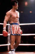 112517pow_rocky4_abs.png
