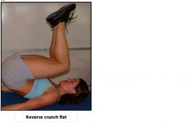 Reverse crunch flat.png