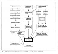 Hyperplasia_training_model.jpg