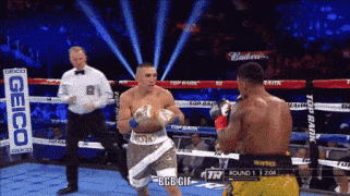 BGB Teofimo Lopez Dance gif.gif