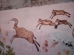 IMG_20191205_164640.jpg