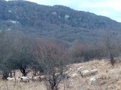 IMG_20191214_150932.jpg