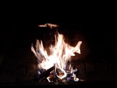IMG_20191214_184823.jpg