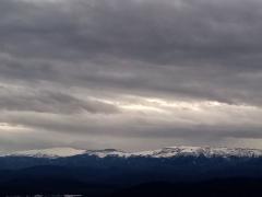 IMG_20191214_154752.jpg