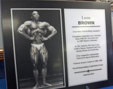 STATEN ISLAND SPORTS HALL OF FAME PLAQUE 1.jpg