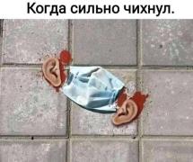 130081302_378644776560877_3557803078661948360_n.jpg