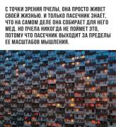 FB_IMG_1607458736304.jpg