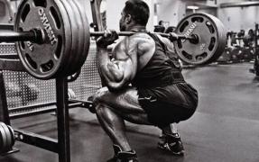 powerlifting_01_PnDijZH_002.jpg
