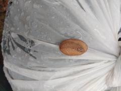IMG_20200802_102140.jpg