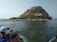 IMG_20200803_150826.jpg