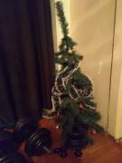 IMG-20201217-WA0018.jpg