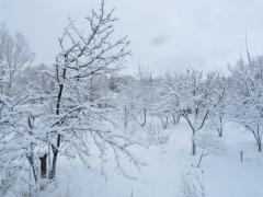 IMG_4018.JPG