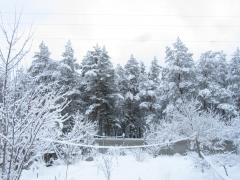 IMG_4036.JPG