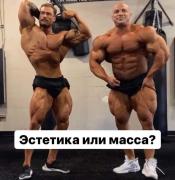 FB_IMG_1639431325821.jpg