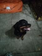 IMG_20211105_214618.jpg
