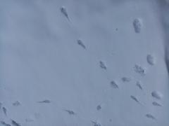 IMG_20211222_104532.jpg