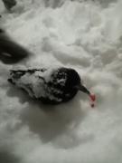 IMG_20211226_222731.jpg