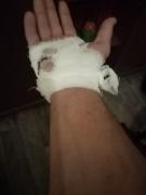 IMG_20211231_063406.jpg