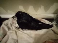 IMG_20211226_225853.jpg