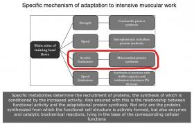 Снимок экрана (48)_LI.jpg