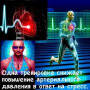 318678864_818348409272766_6462504435888617685_n.jpg
